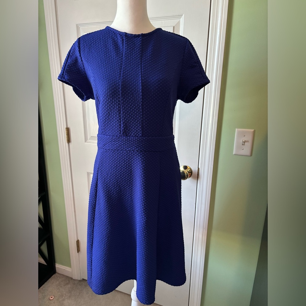 Elle Royal Blue Textured Midi Dress